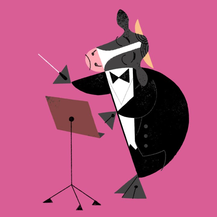 Illustration for the Old McDonald's Orchestra quiz 